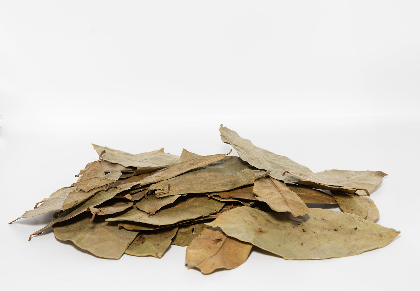 Sour Sop Leaves