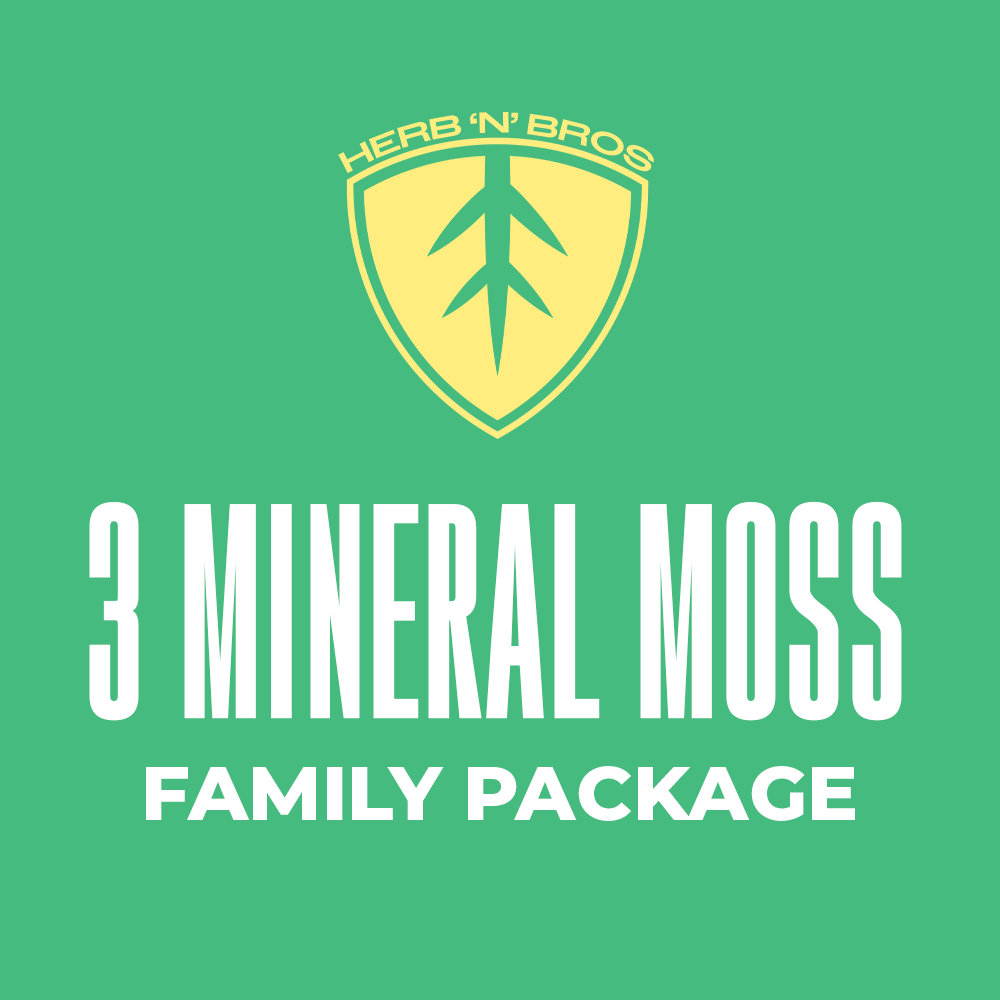 3 Mineral Moss
