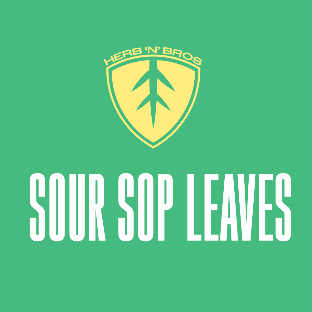 Sour Sop Leaves